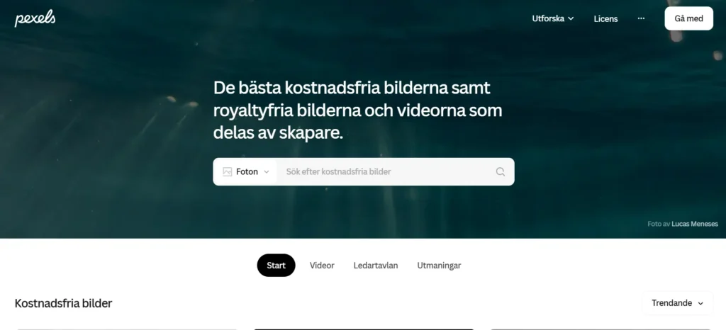 Gratis bilder till hemsidan – 7 användbara bildbanker Gratis bilder till hemsidan – 7 användbara bildbanker – illustrativ huvudbild