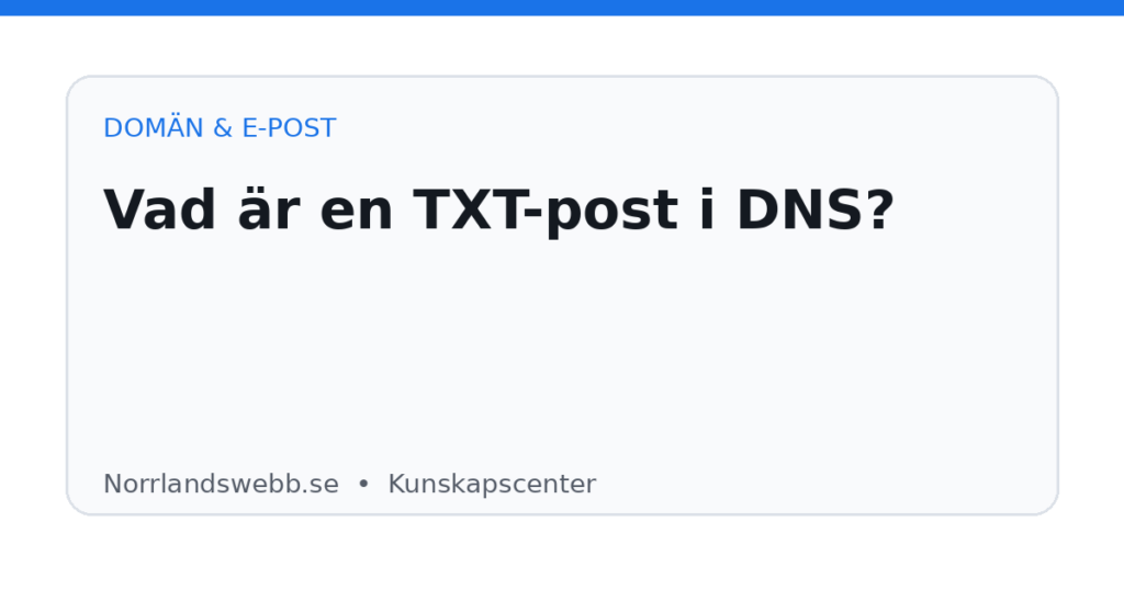 Vad är en TXT-post i DNS? Vad är en TXT-post i DNS? – illustrativ huvudbild